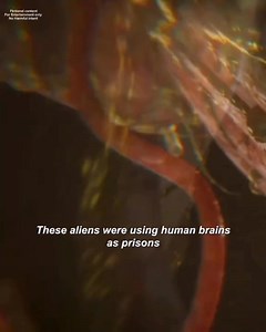 🚗 The girl suspected her father might be an alien…So she placed a hidden camera inside the car. 📹What shocking truth will she discover? 👽✨👉 Watch now to see what happens! #CieloVerseTV #MysteryStory #Alien #WatchNow #ShortDrama ⚠️ Disclaimer: Storytelling content only. No copyright infringement intended. All clips belong to their rightful owners. Used under fair use for commentary and narration. | Cielo Paculob