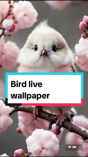 Bird live wallpaper #wallpapers #3dwallpaper #4klivewallpaper #fondodepantalla #fundodetela #bird