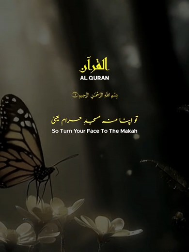سورة آل عمران والآيات من سورة البقرة