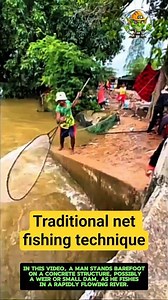 Traditional net fishing technique: fishing with a dip net