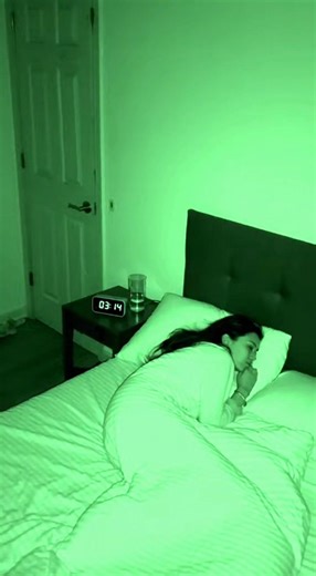 3 AM Cat Adventures: Late Night Fun with Felines