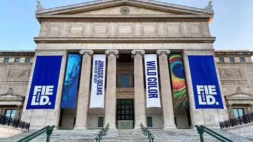 Field Museum, Shedd Aquarium and more: Chicago free museum days for spring break