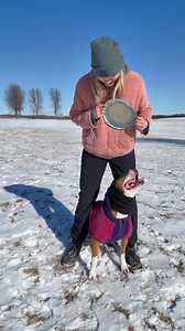 It may be chilly out, but getting your dog outside is still possible if you take the right precautions! Keep them outside for shorter periods of time and protect their ears with cloth. You may also apply protectant on their paws (especially for the salt on sidewalks and roads!) I highly recommend Mushers Secret Paw Protection. Stay safe! | Field Valley Canine, LLC