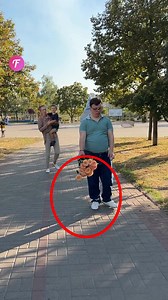 239K views · 8.3K reactions | A Simple Gesture Turns a Woman's Day Around  | Fabiosa Animated | Facebook