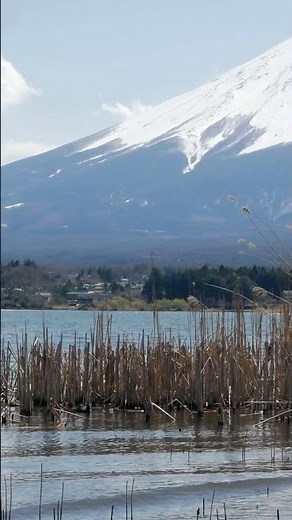 🗻 5 Mind-Blowing Facts About Mount Fuji You Didn't Know 🤯