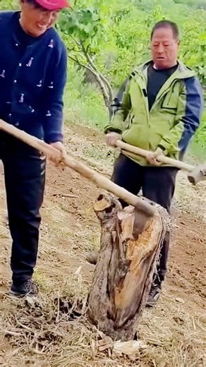 Incredible Wood Splitting Technique! #shorts