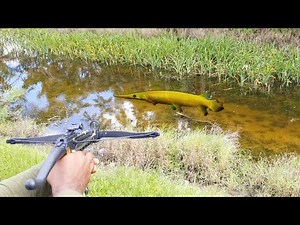 MiniCrossBOW FISHING: Epic Shot from Truck Bed