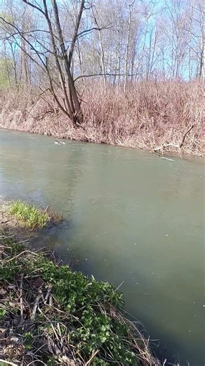 Żyj w stanie "Końca" 👍 #rozwójosobisty #równowaga #zabawa