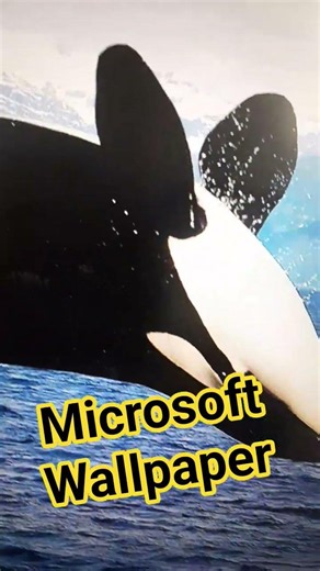 Beutiful Wallpaper by microsoft #microsoft #wallpaper #seacreatures #fishvideo #water #nature