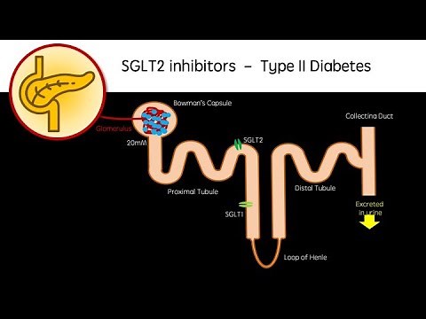 SGLT2 Inhibitors (Dapagliflozin, empagliflozin) | Type 2 Diabetes revision video