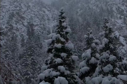 Tranquil Winter Landscape with Snow-Covered Forest