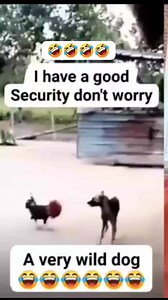 1.6M views · 20K reactions | I have a very good security 藍藍藍 That...