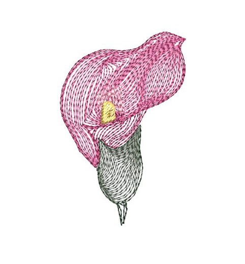 Machine Embroidery Design - Calla Lilly A - Etsy