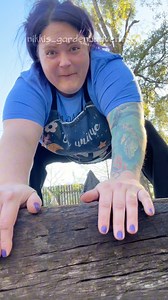 57K views · 1.4K reactions | #gardenvlogTime to turn my painted cinder blocks into a flower garden bed whew glad that’s done ✅ #garden #gardening #brickart #gardenchores | Nikki Adams | Facebook