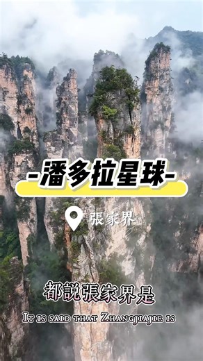 Straying into Pandora.#chinatravel #zhangjiajie #travelvlog #nature #大陸旅行#中國旅遊 #自然風景