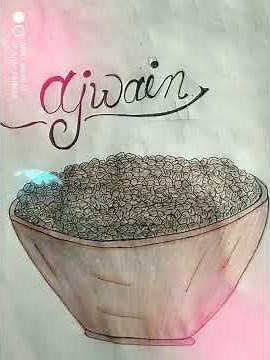 class 12chemistry project on extraction of essential oil present in aniseed carum and cardamom oil 🙏