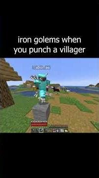 iron golems when you start a raid vs when you accidentally graze a singular villager