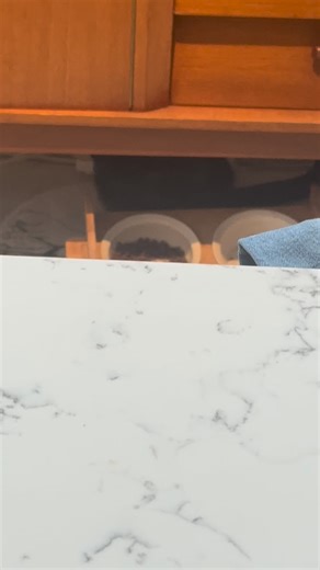 “London Spin Doctor Ltd” on Instagram: "4th Bosch / Neff dishwasher heat pump change today. Good job I carry loads of these in stock. No more error code E09 🧼✅👍🏻 #bosch #anotherhappycustomer #southlondon #appliances #vanlife"