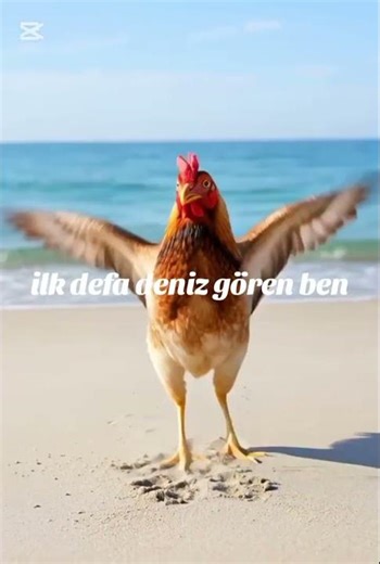 #keşfetbeniöneçıkar #filmora #music #shortsvideos #love #komedi