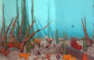 If you liked the Cambrian Explosion, you’ll love the Ordovician Radiation