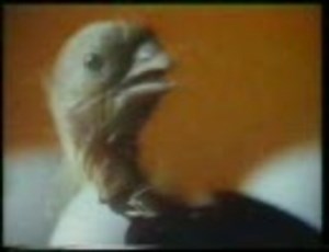 懐かCM　5～70年代シリーズPart1