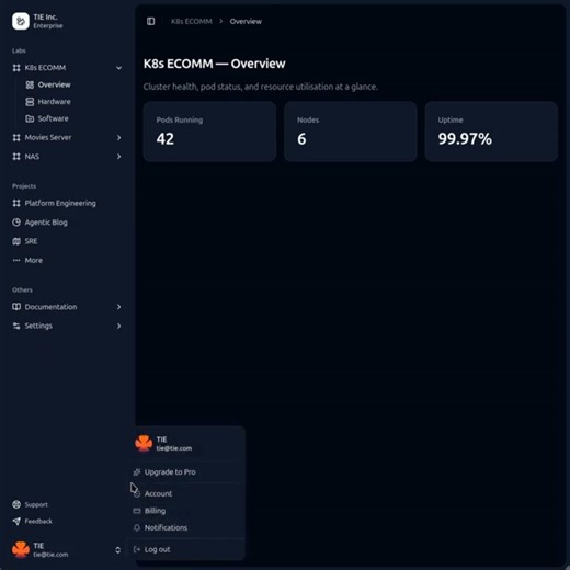 Dashboard with Angular and Spartan NG #learning #angular #learning #coding #frontend