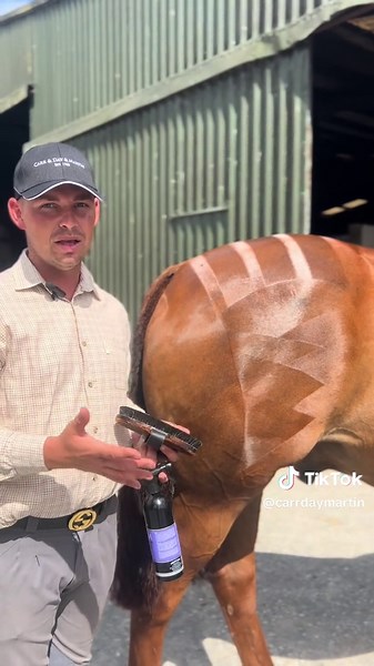 Carr & Day & Martin on TikTok