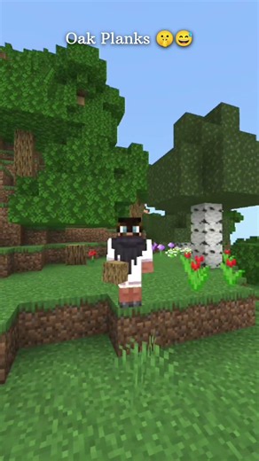 How to Obtain Oak Planks in Minecraft 🤫😅 #minecraft