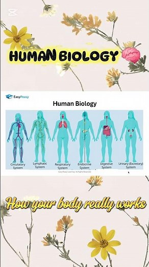 What Is Human Biology? 🧠 | How Your Body Works