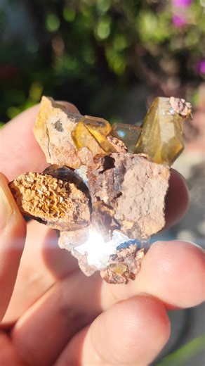 Disponible | Barita fluorescente 4.1 cm. $840 mxn con envío GRATIS por correos de México o desde $99 por FedEx. 41*35*28 mm. 16.41 g. aprox. Es fluorescente con luz UV de onda larga (365 nm). Localidad: Cerro Warihuyn, Miraflores, Huamalíes, Huánuco, Perú. #Minerales #Fósiles ID16.55G-21.7 Contamos con Sistema de Apartado. Base de acrílico no incluida. Envíanos un WhatsApp ☺ : https://wa.me/2461195231 Catálogo: desde tu móvil entra a nuestra pestaña Tienda. | Minerales Rey Marqués