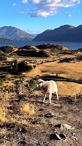 7.6K views · 151 reactions | Where the scenery never stops surprising 殺 Wanaka is where all your travel dreams come true. https://bit.ly/GOwanaka Credit: eleonorabryant_ | GO Explore New Zealand | Facebook