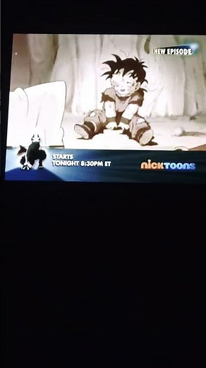 nicktoons dragon ball z kai avatar extra / next then later