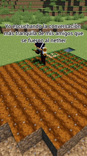 Yo escuchando la conversación más tranquila de mis amigos que se fueron al nether #minecraft #minecraftmemes #memes #humor #viralvideoシ #reelsviralシ #reelsfbシ #reelsvideoシ #viralpost | AlexZomberPlay