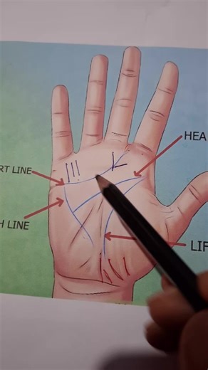 Understanding Palmistry: Insights from Palm Reading