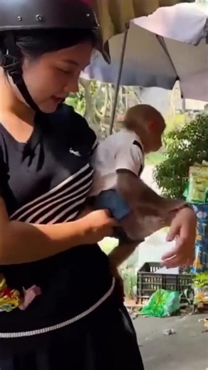 Monkey Bibi & Monkey Lala Go Shopping with Mom for Their Favorite | Family CUTIS TV