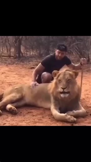 The end is 🤯 !! What is your favorite clip ?? 😎 #respect #khabylame #fyp @khaby.lame