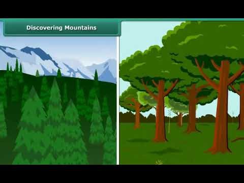 CBSE Class 06 Science Chapter Name Living Organisms and their surroundings