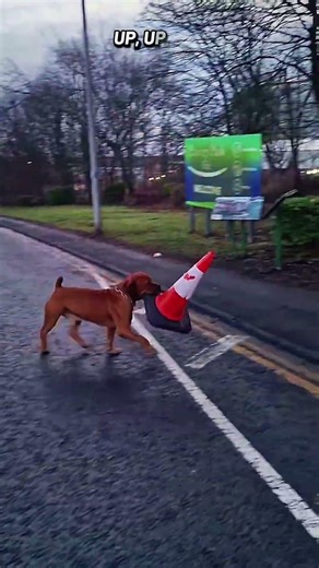 cone on road
