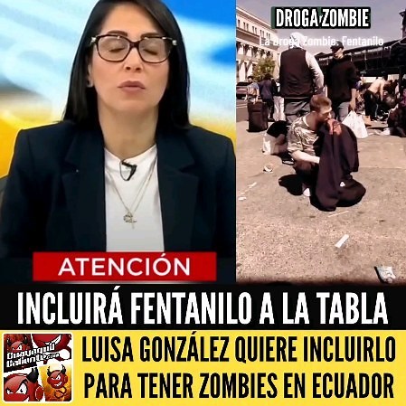 LUISA GONZÁLEZ QUIERE INCLUIR FENTANILO A LA TABLA DE CONSUMO PERMITIDO DE DROGAS Pero la candidata a la presidencia Luisa González quiere que sea de libre su uso en ecuador, como que no ha Sido suficiente con las drogas que ya consume libremente Auspiciados por la tabla de consumo o umbral de consumo como ella prefiere llamarlo Se le considera un opioide sintético, 50 veces más potente que la heroína y hasta 100 veces más potente que la morfina. Es la droga que más alarma a las autoridades de E