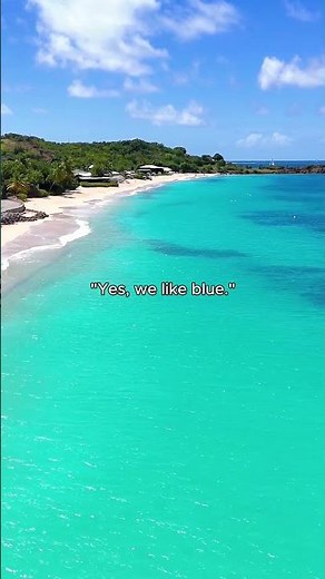 We didn’t choose blue, blue chose us 💙 What’s your favourite shade of cruising?