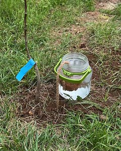 8.8M views · 18K reactions | Wick watering system  | Genius Inventions | Facebook