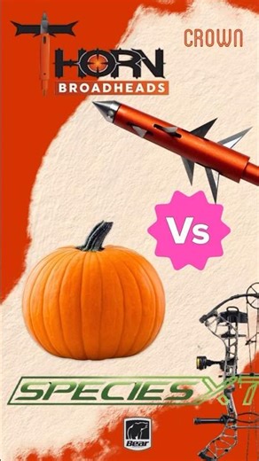 Thorn Crown Broadhead vs Pumpkin… INSANE Cut! 🎯🔥 (Bear Bow Test)
