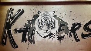 Junior Korean Tigers | Taekwondo News