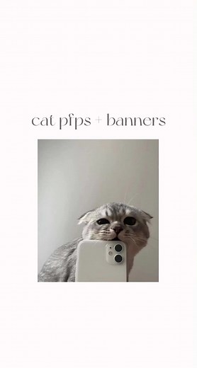 from a sfw server! discord.gg/tempt #fyp #pinterest #comfort #pfps #icons #cats #fypシ