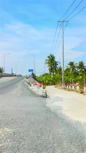 Con Đường Quê Hương Ngọn Rau Cần Ấp Tân Mỹ Xã Mỹ Hương Chào Nhau Nhé 🌴🌳📸#yeutiktok #nguoimientay #83soctrang #chill #xuhuong