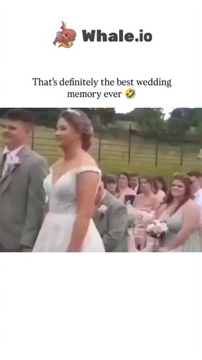 explain.ia on Instagram: "The video captures a humorous moment during a wedding ceremony where a cow unexpectedly appears in the background, seemingly objecting to the marriage as the officiant asks if anyone objects, aligning with a traditional wedding script element where objections are voiced. This incident reflects a broader cultural fascination with unexpected interruptions at weddings, as seen in popular media like movies where such moments often add drama or comedy, suggesting that real-l