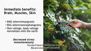 Are you missing out on the benefits of Grounding? 🌟 - Reduces inflammation and pain - Improves sleep, energy, and mood - Promotes healing and recovery 15% OFF - NEWYOU15 Order now 👇 https://groundingofficial.com/original | Grounding