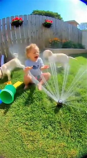 Sprinkler Explosion Surprises Baby and Puppies