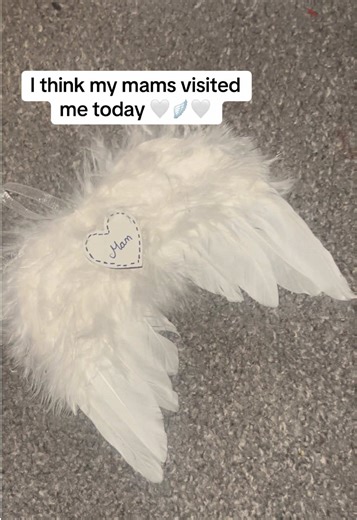 A Touch from Beyond: Signs from My Mum