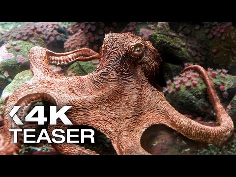 REMARKABLY BRIGHT CREATURES Teaser Trailer (2026)